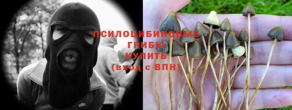 первитин Кинешма