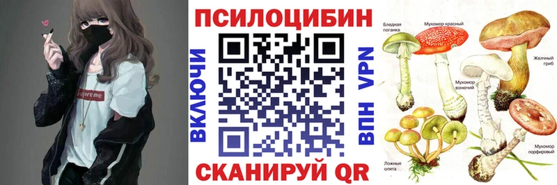 Купить где  Артёмовский  Галлюциногенные грибы Cubensis 
